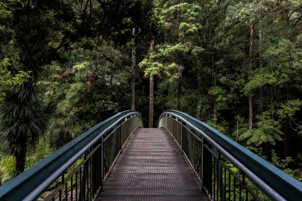 path to sober living banner
